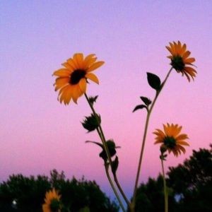 Go check out my friend @chrissa_nicole! 💕 🌸